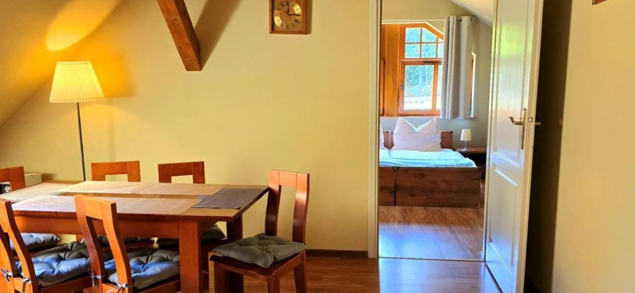 Jozefina Apartament'S Z Dotepem Do Mini Spa Шклярска-Поремба Экстерьер фото